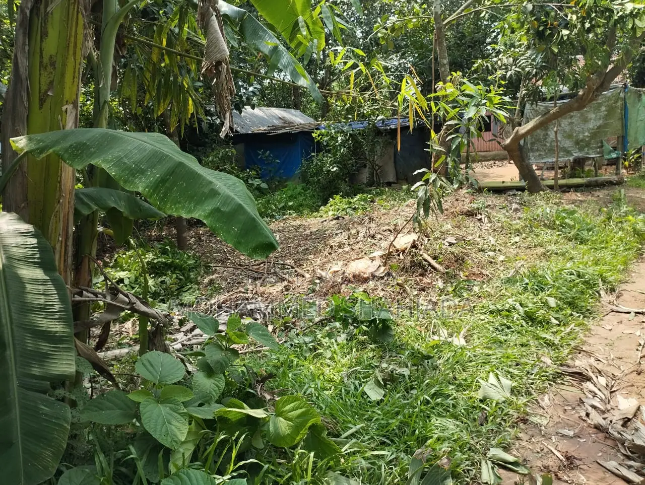খুবই সুন্দর মনোরম পরিবেশ