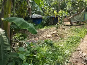 খুবই সুন্দর মনোরম পরিবেশ