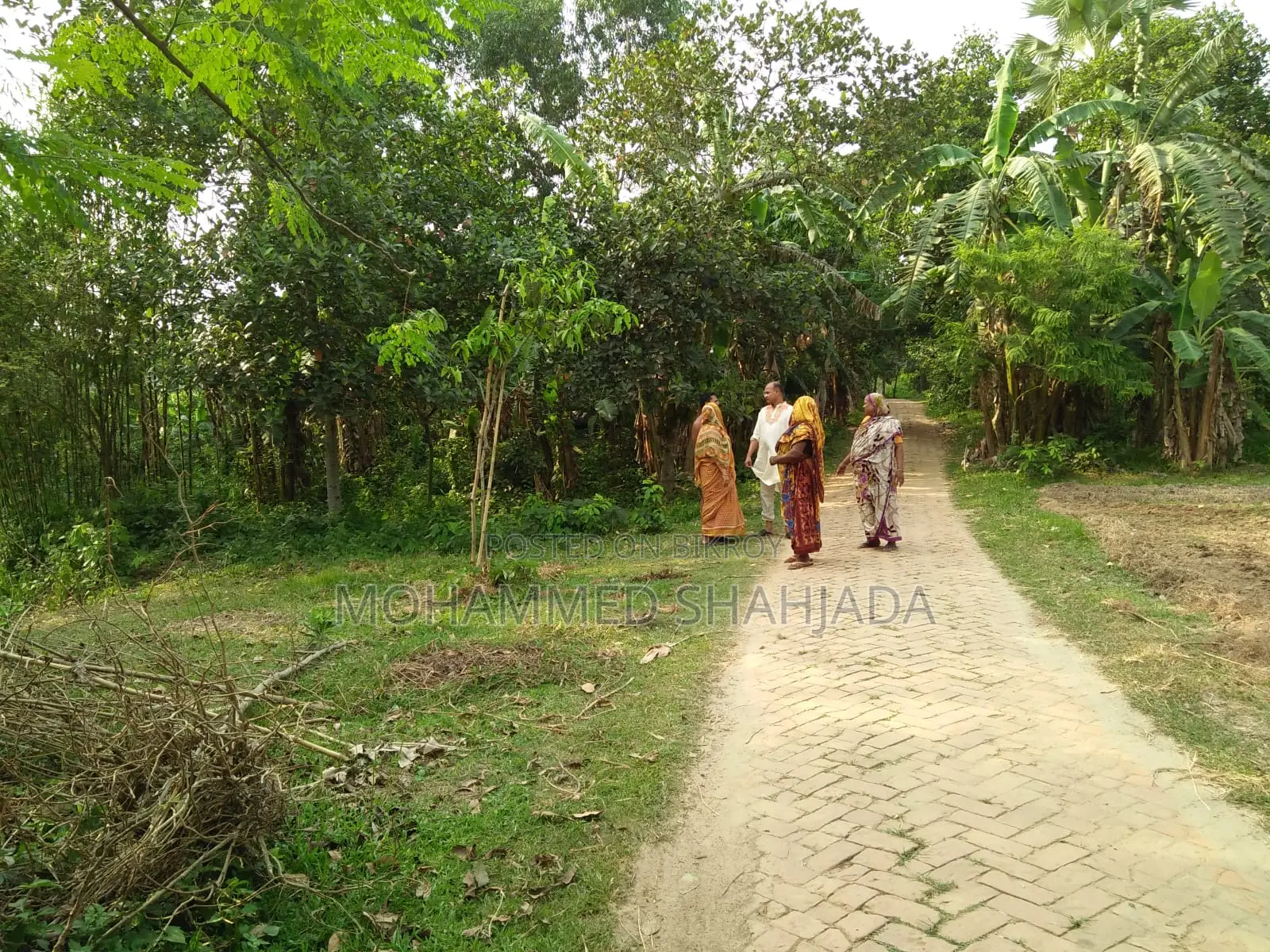 খুবই সুন্দর মনোরম পরিবেশ