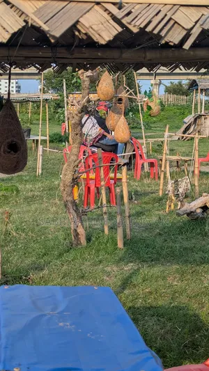 চটপটির দোকান