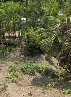 Property / Land / Plot