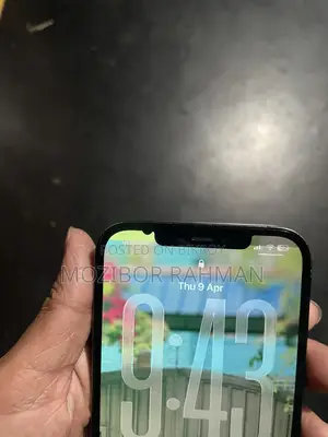 Apple iPhone 12 Pro Max 256 GB Silver