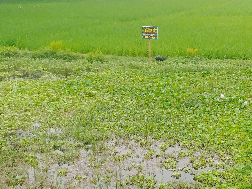 Land for Sale
