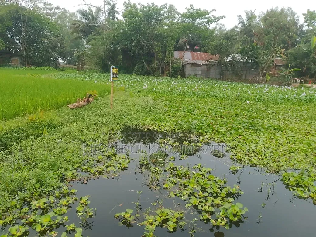 Land for Sale
