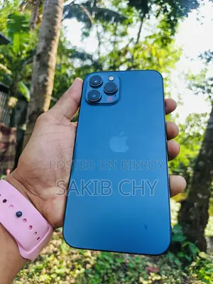 Apple iPhone 12 Pro Max 128 GB Purple