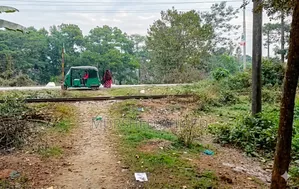 জরুরি বিক্রয়ের জন্য ৬-রুমের কলোনিসহ জমি