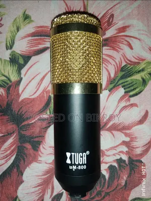 BM.800 Microphone