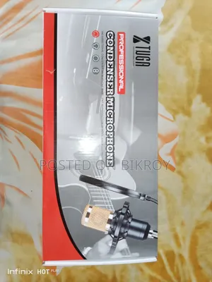 BM.800 Microphone