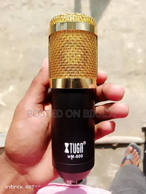 BM.800 Microphone