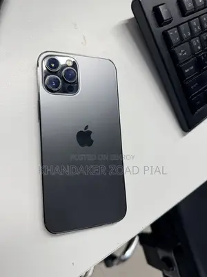 Apple iPhone 12 Pro Max 256 GB Gray