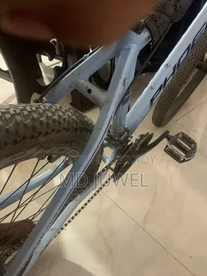 ফিনিক্স ডাস্টার এ
