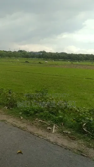 Mary Land Riverview City