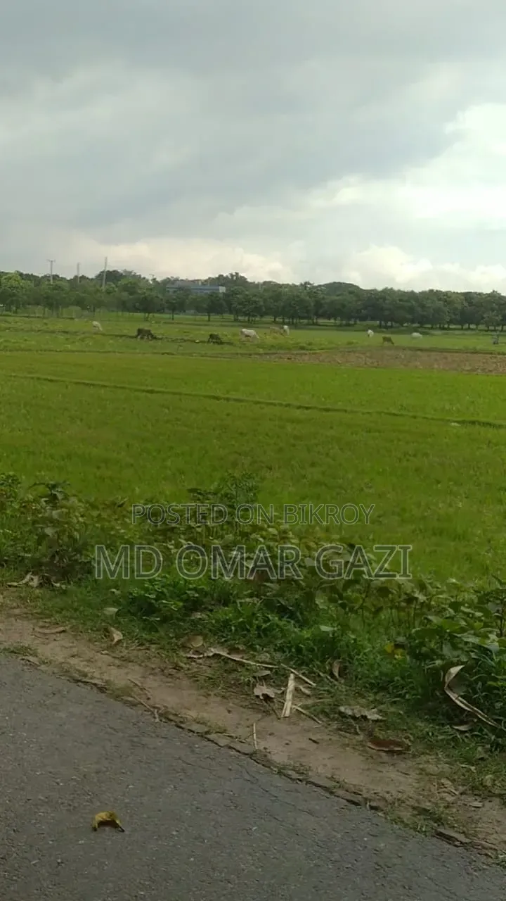 Mary Land Riverview City