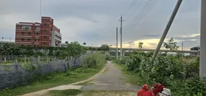 Sector 17/A Road 4/A Plot #