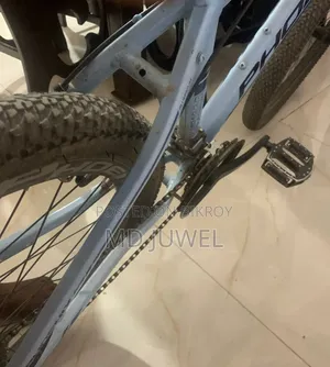 ফিনিক্স ডাস্টার এ