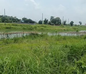 সেক্টর-১৭/জে তে ৬০ ফুট লেক ভিউ ৩ কাঠা পশ্চিমমুখী জমি।
