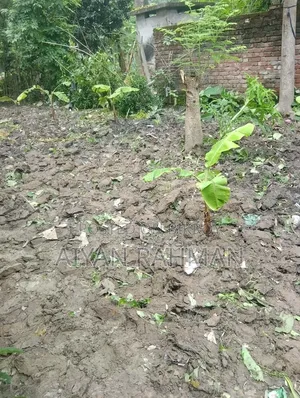 Small land for sale