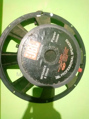 Two speakers, one 16-inch and one 12-inch