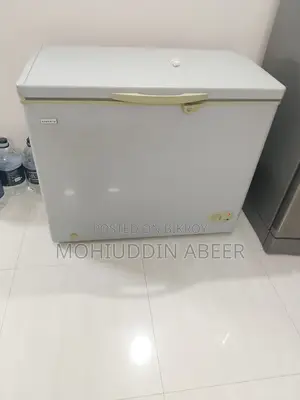 Deep Friedge