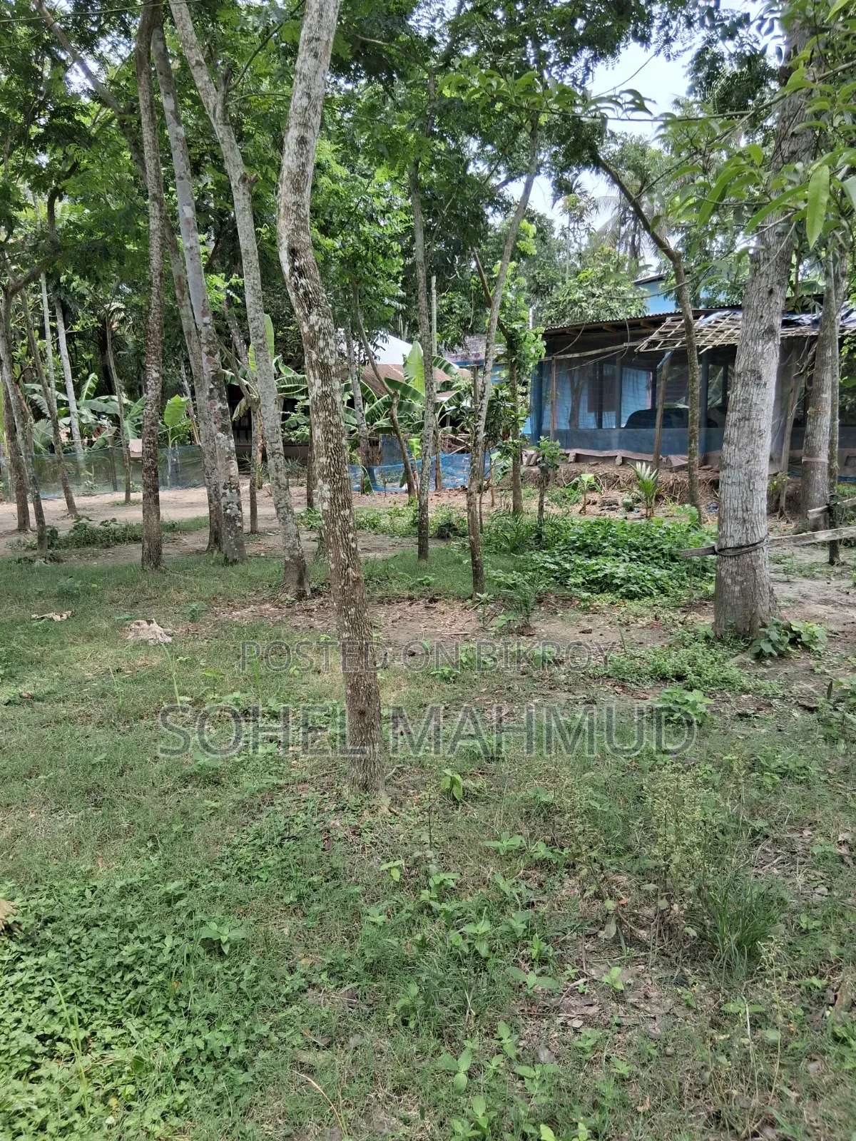 Land for sale