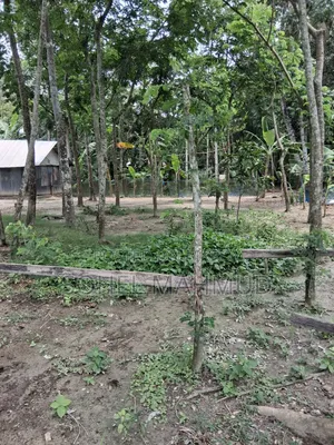 Land for sale