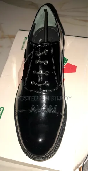 Brand New Shoe for Sale