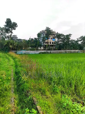Agricultural Land, Chandpur Shaharasti Thana