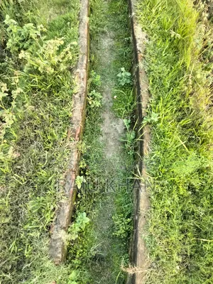 কৃষি জমি ।চাঁদপুর শাহারাস্তি থানা