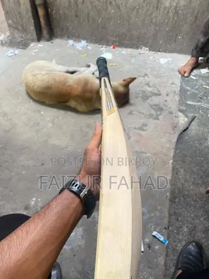 Cricket Bat Gold