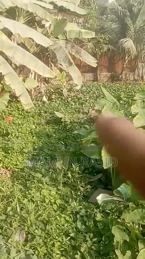 5 Katha Land for Sale