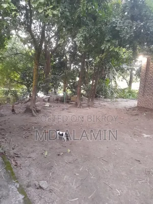 2-bedroom Farm House in Bosot Bari, Mawa Highway for Sale