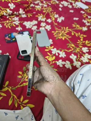 অ্যাপল আইফোন ১২ প্রো ম্যাক্স ২৫৬ জিবি রোজ গোল্ড