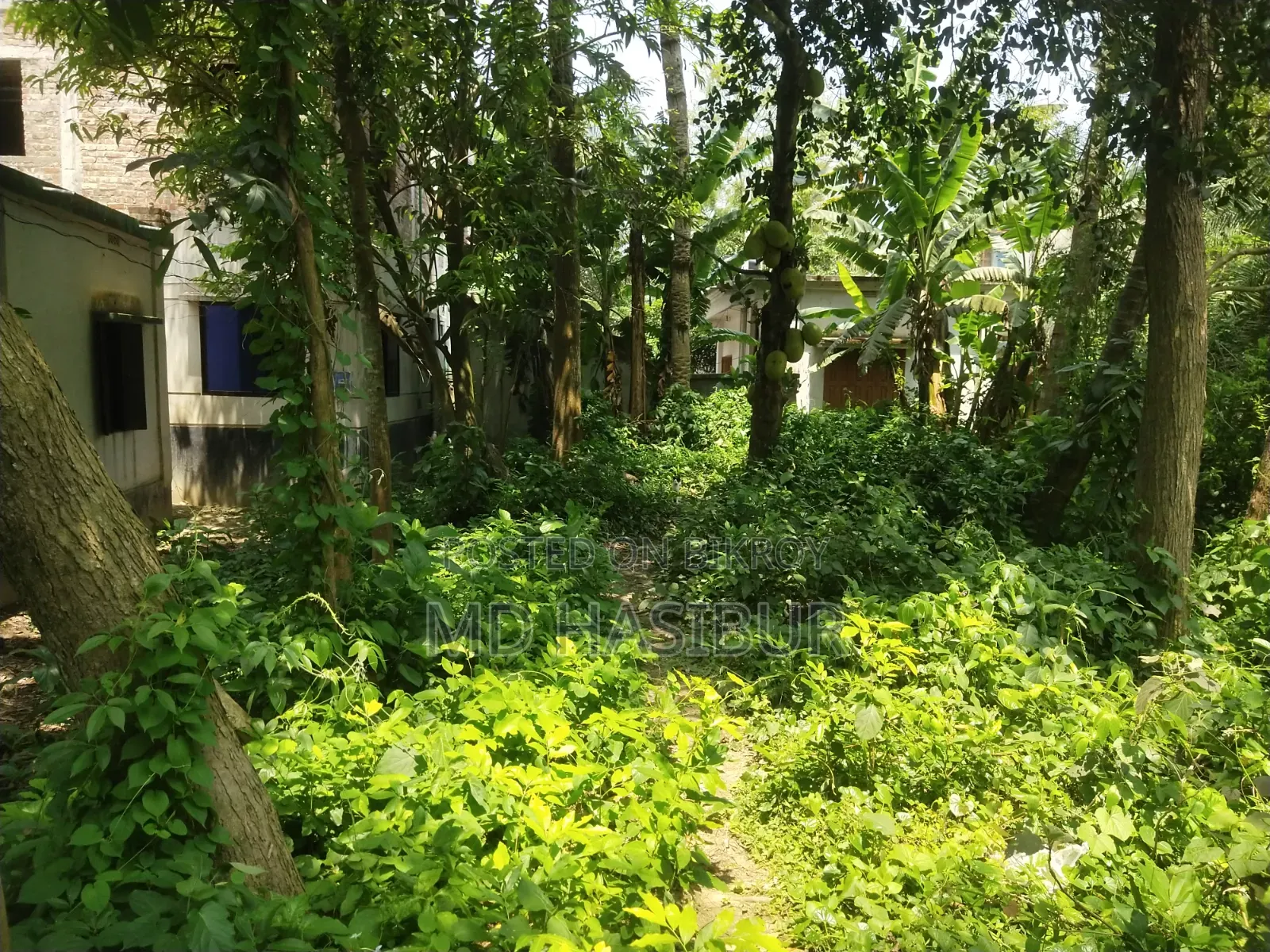 জমি বিক্রয় করা হব