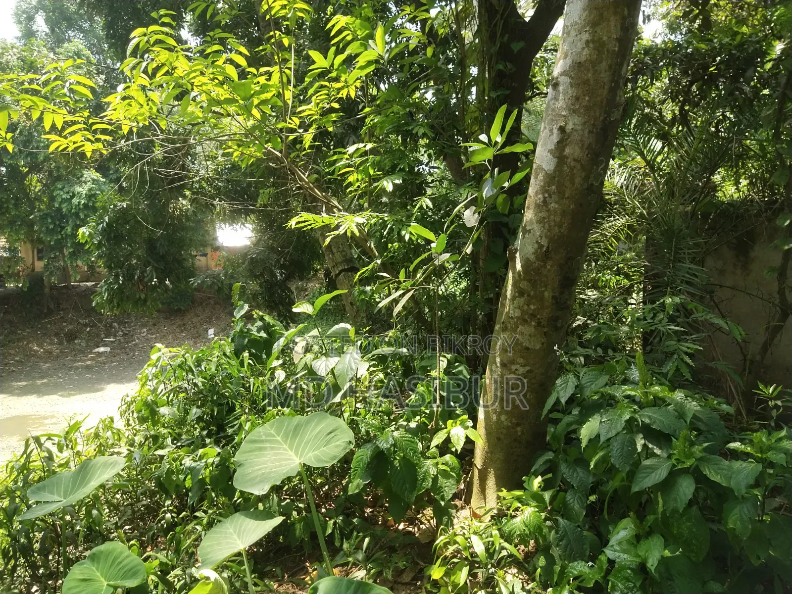 জমি বিক্রয় করা হব