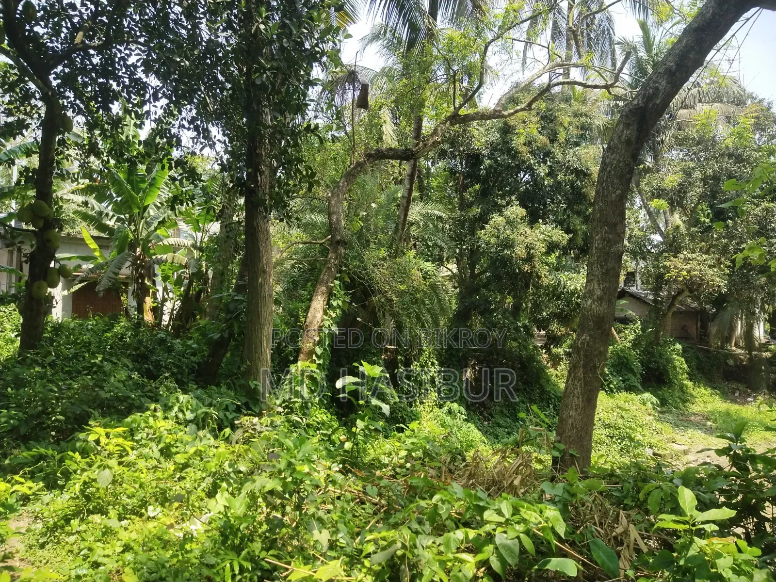 জমি বিক্রয় করা হব