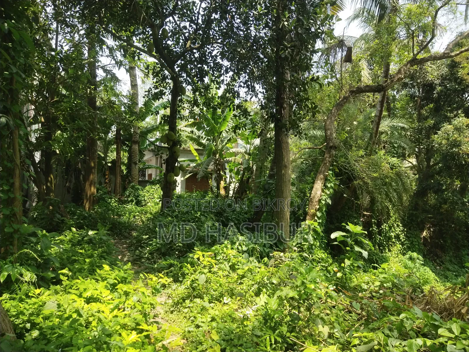জমি বিক্রয় করা হব