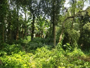 জমি বিক্রয় করা হব