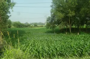 ঢাকা-টাঙ্গাইল হাইওয়ে সংলগ্ন একক মালিকানাধীন ৫৬০ শতক জমি