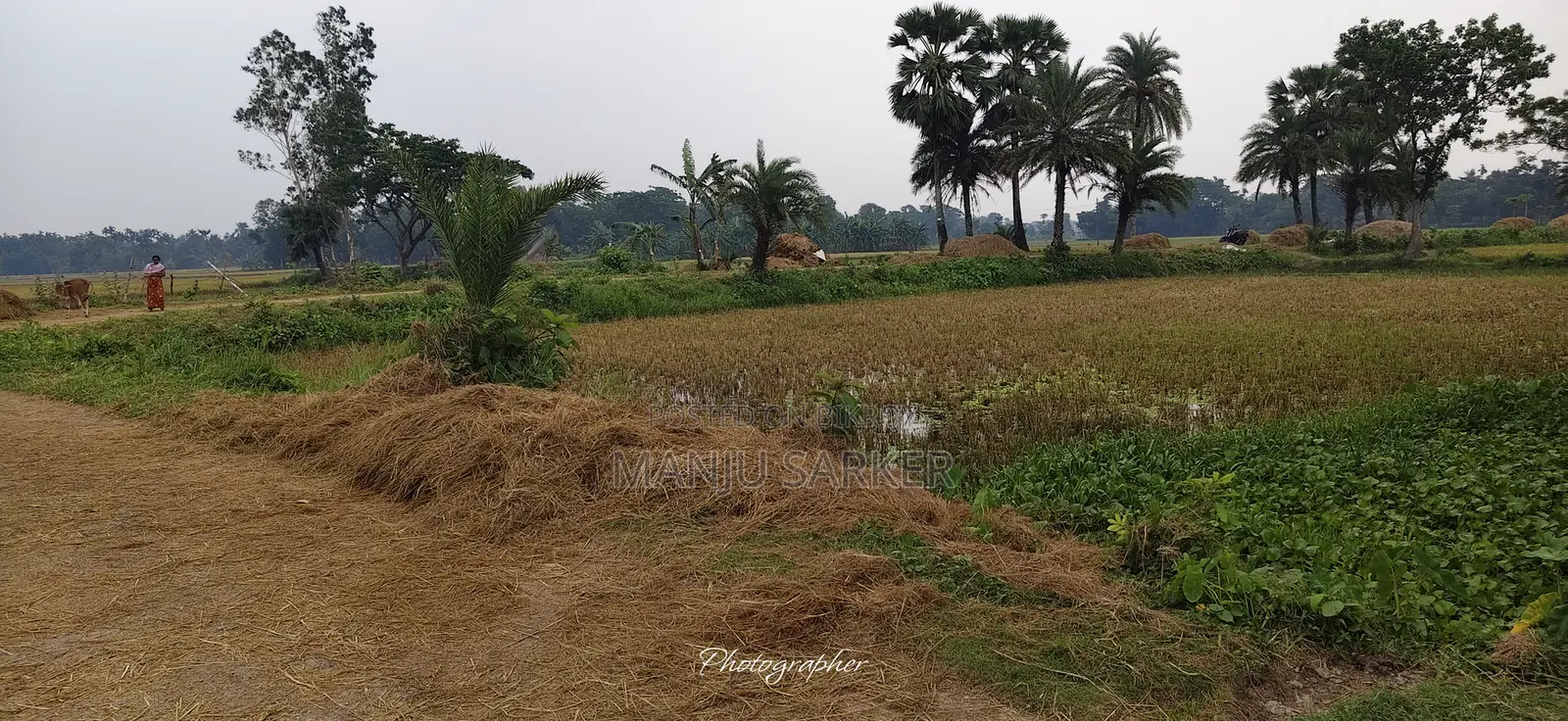 Land for sale