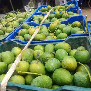 Gopalbhog Mango