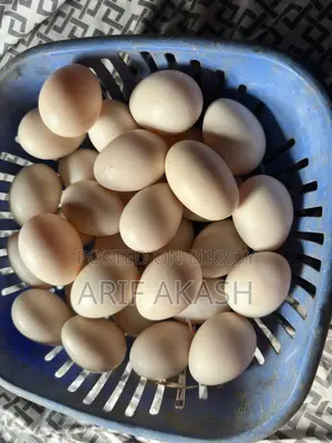 চায়না হাস এর ডিম