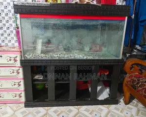 বড় সাইজের অ্যাকোয়ারিয়াম