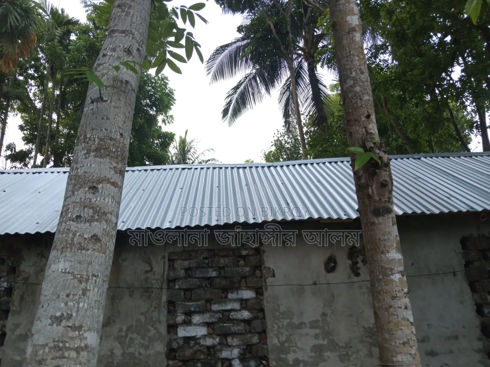 যশোর সদরে ২ বেডরুমের বাড়ি বিক্রয়