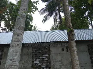 যশোর সদরে ২ বেডরুমের বাড়ি বিক্রয়