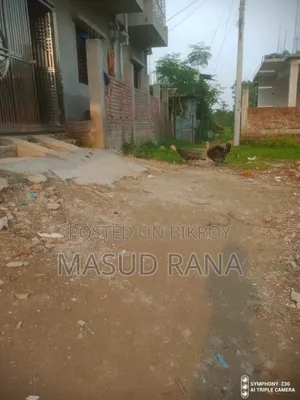 রানিং টাকি মুরগি বিক্রি হবে