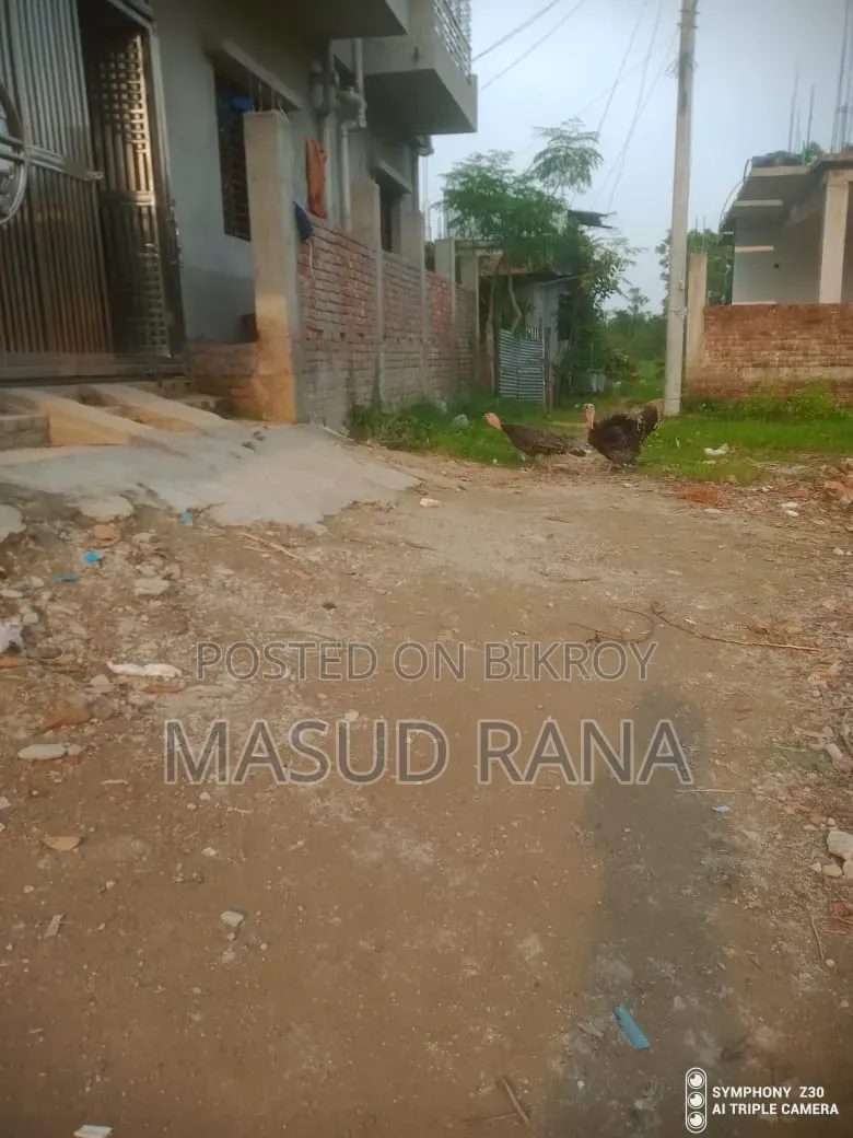 রানিং টাকি মুরগি বিক্রি হবে