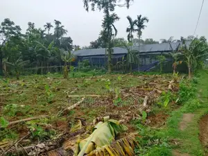 Chicken coop for sale or rent on an emergency basis