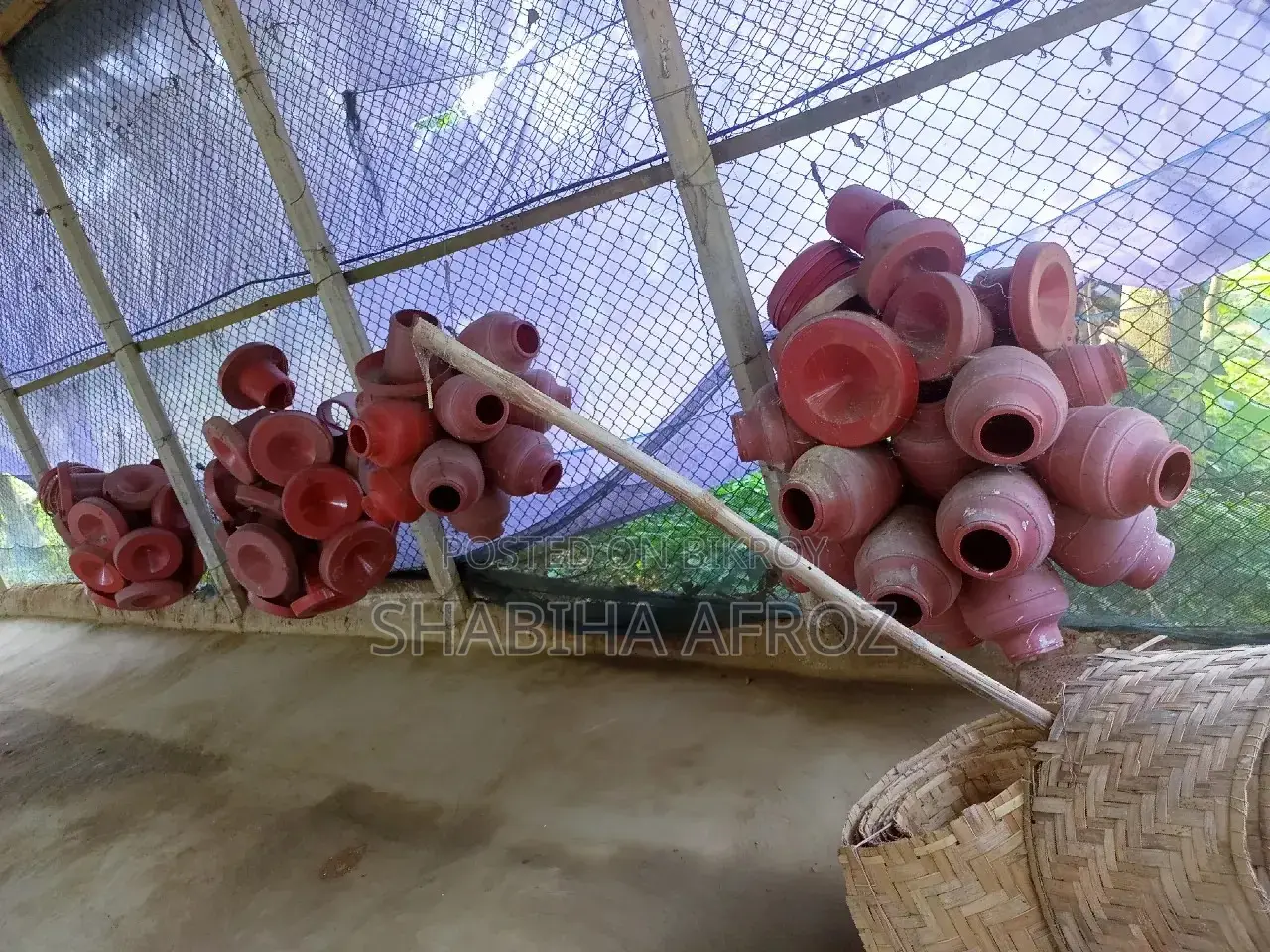 Chicken coop for sale or rent on an emergency basis
