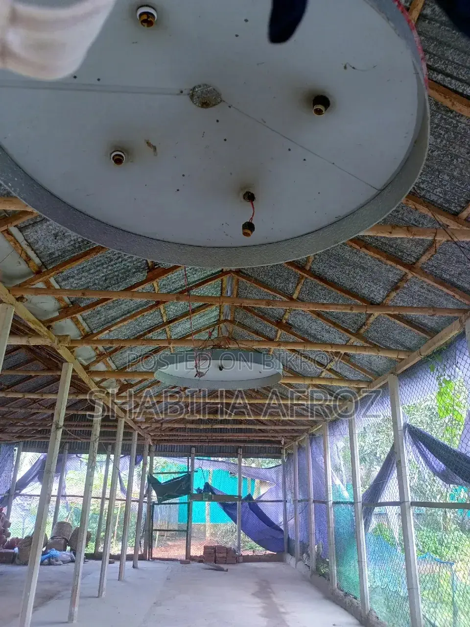 Chicken coop for sale or rent on an emergency basis