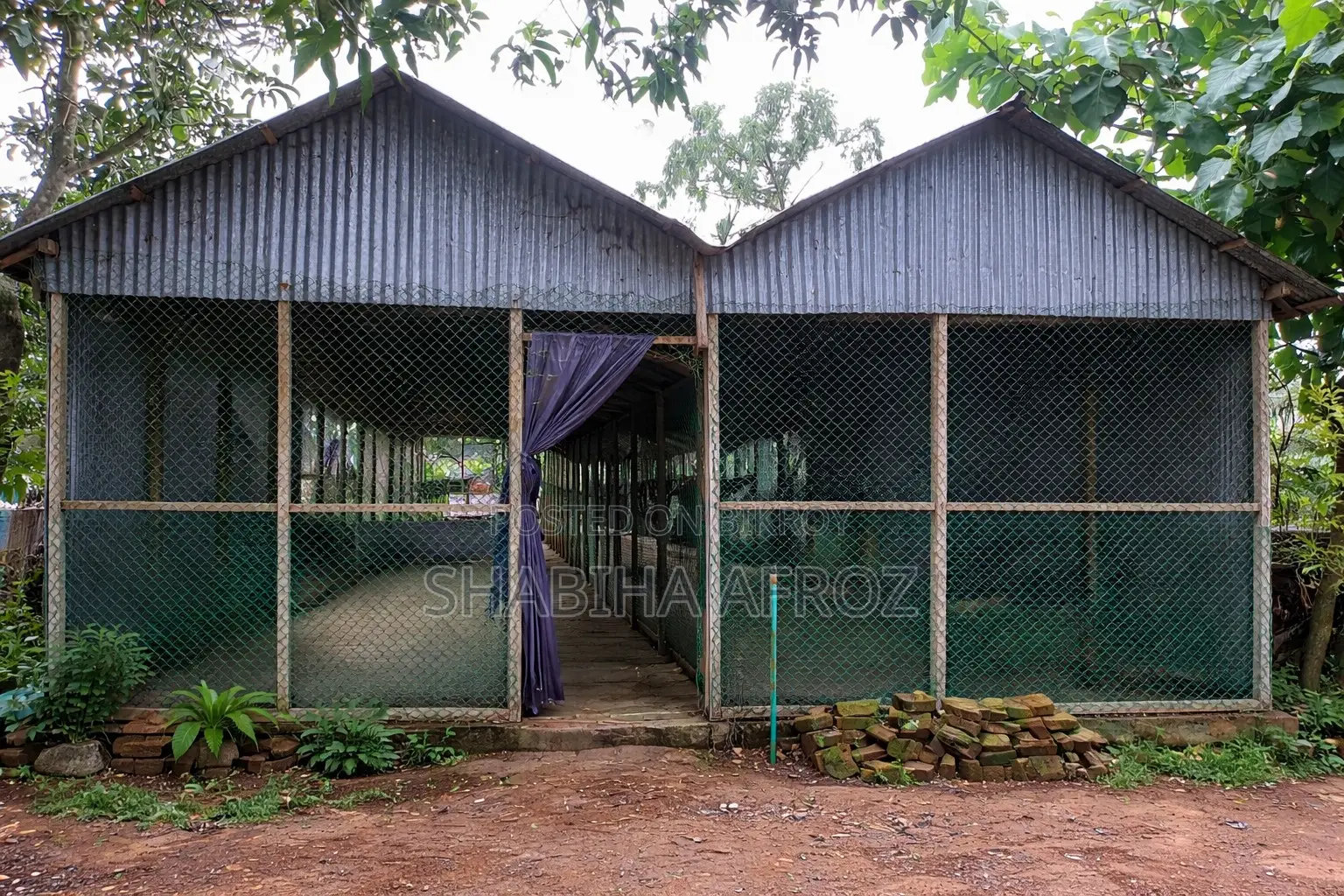 Chicken coop for sale or rent on an emergency basis